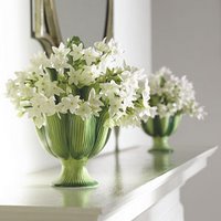 Urban Girl Tip: Tulipiere