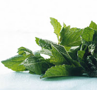 To Do: Fresh Mint