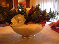 Christmas Photos!