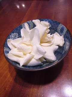 To Do: Gardenias