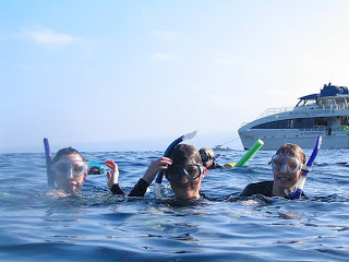To Do in Maui: Snorkel