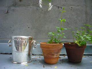 My House: Silver Ice Bucket