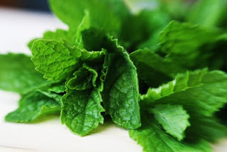 Things I Love Today: Fresh Mint