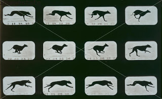 Inspired: Muybridge’s Greyhound