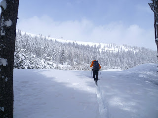 Weekend Round-Up: Skiing