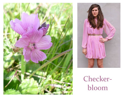 Flower Week: Checker-bloom