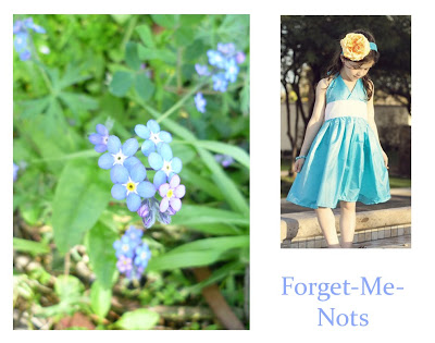 Flower Week: Forget-me-nots