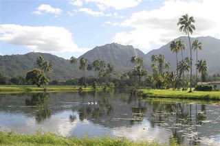 To Do: Kauikeolani Estate