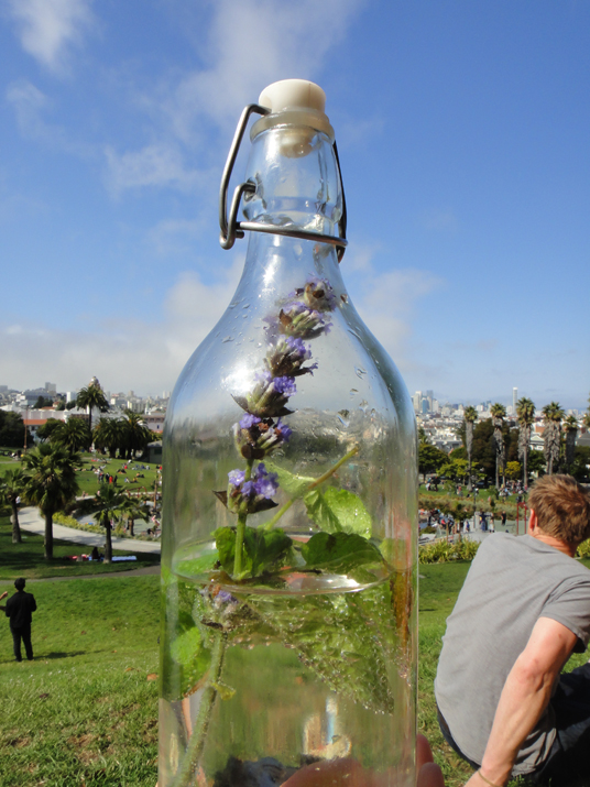 To Do: Herb Water