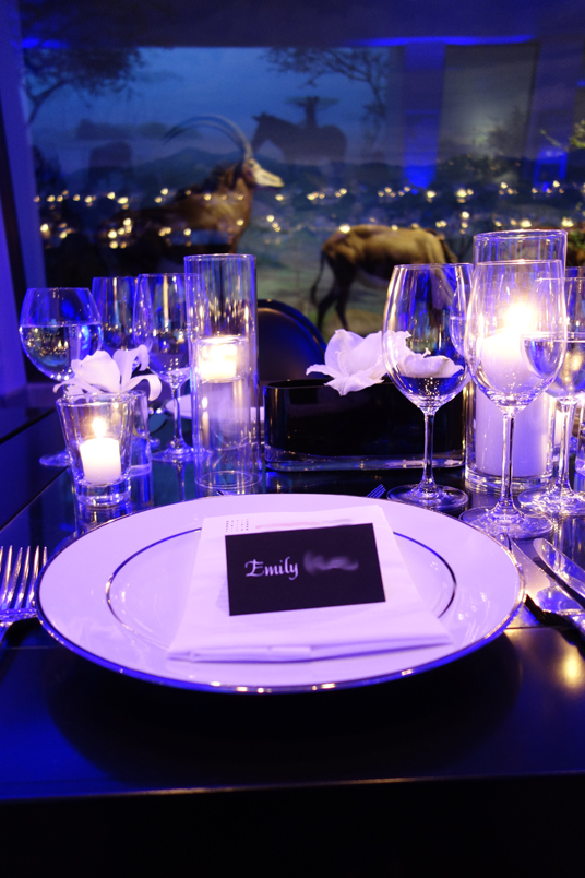Inspired: Academy of Sciences Party