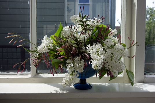 Flowers: Lilac and jasmine