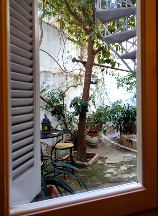 Welcome to Athens, Greece! (And My Battle With Ancient Plants at the Acropolis)
