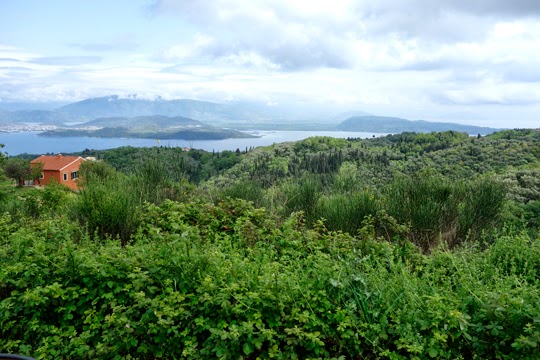 Wildflower Picnic in the Hills of Corfu, Overlooking the Albanian Coast