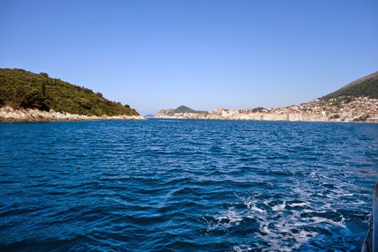 Spending the Day with Peacocks and Rabbits on the Cursed Island of Lokrum, outside Dubrovnik