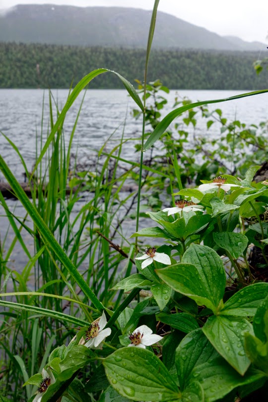 Hiking Byers Lake at Denali State Park, Alaska