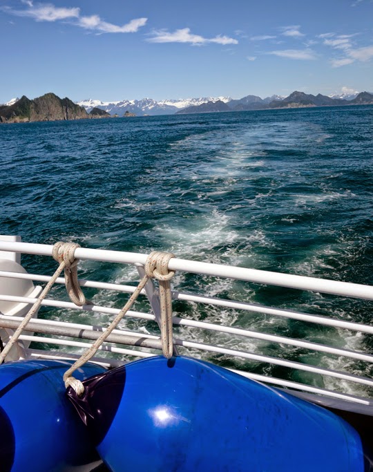 Whales, Puffins and Glaciers on a Boat Tour of Kenai Fjords, Alaska