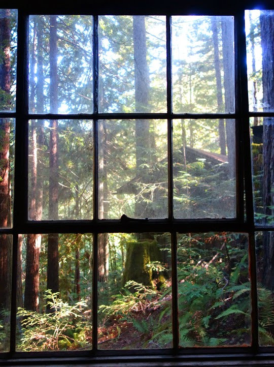 Mountain Biking in the Mendocino Forest