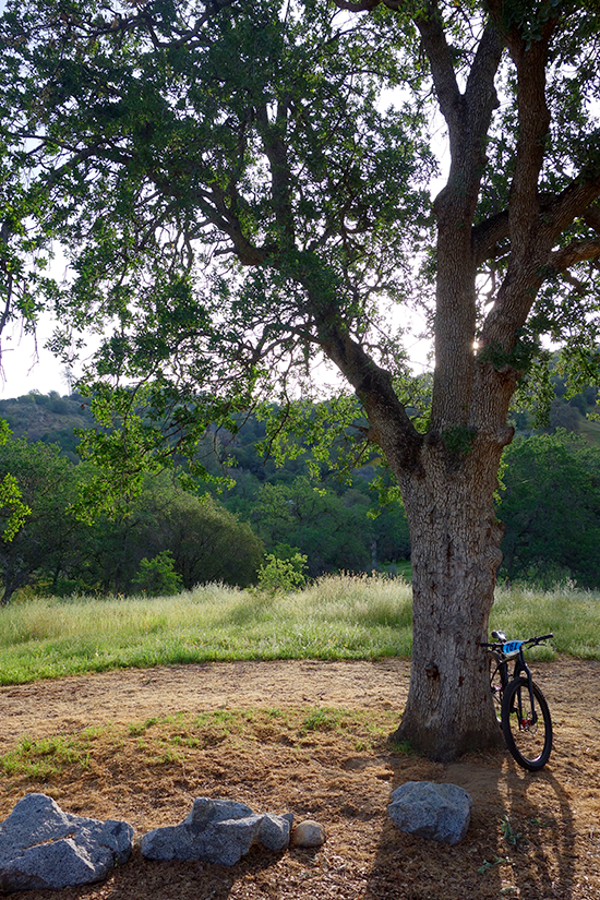 Spring in Fresno with the Big Sandy Mountain Bike Race