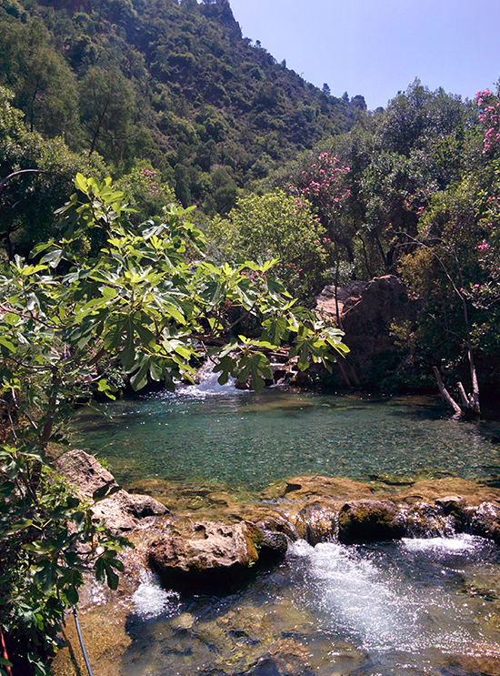 Hiking to the Akchour Waterfalls in the Rif Valley of Morocco
