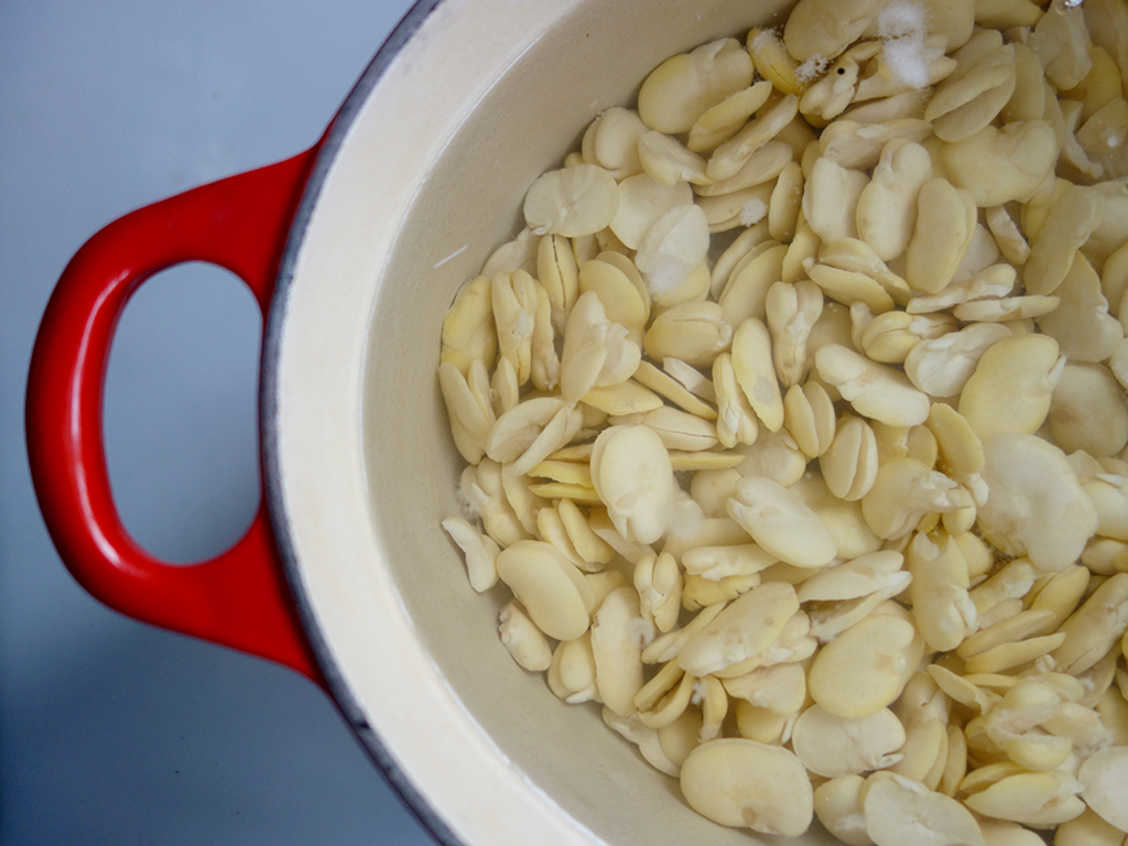 Soaking Fava Beans in Water