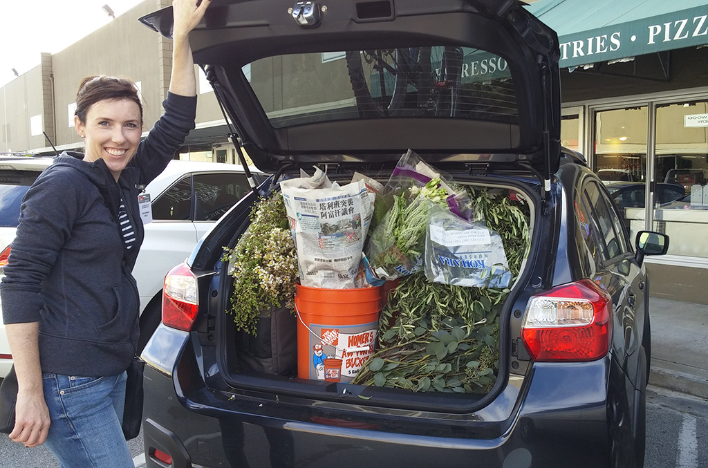 Load your car as you go at the Flower Mart