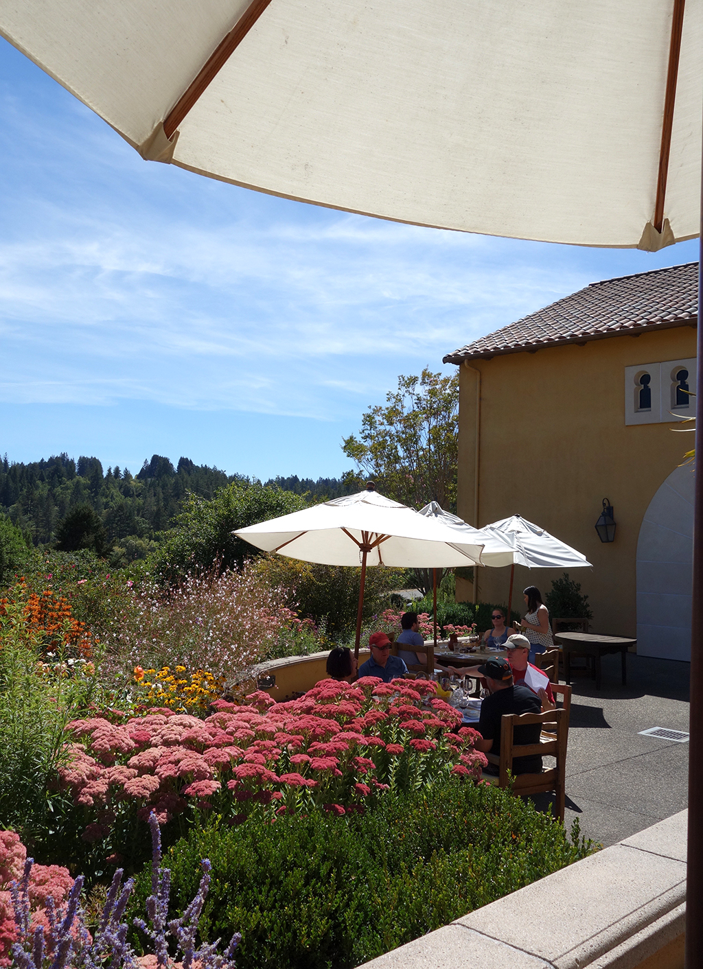 Marimar Winery Picnic Recipe