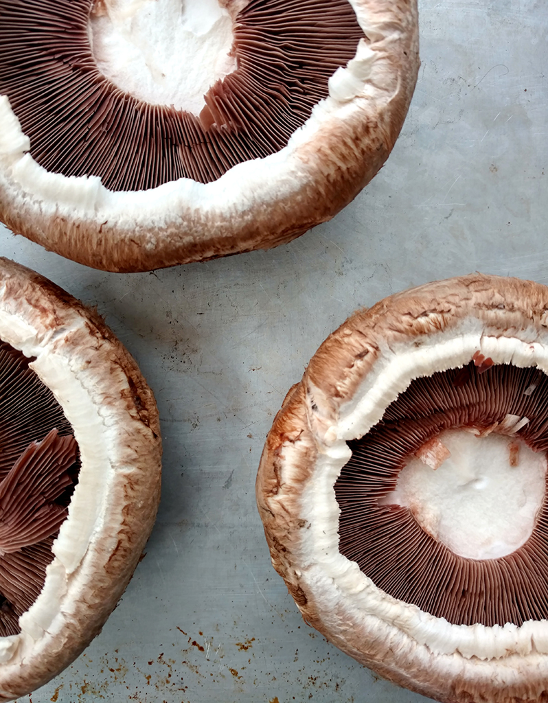 A Hearty Winter Pescatarian Dinner Party