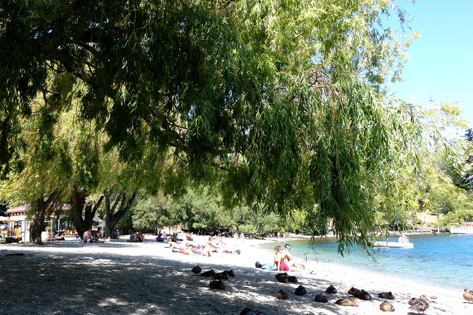 Lake Wakatipu Queenstown NZ