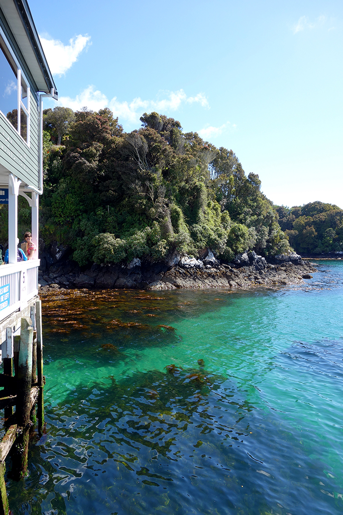 Oban Harbour, NZ