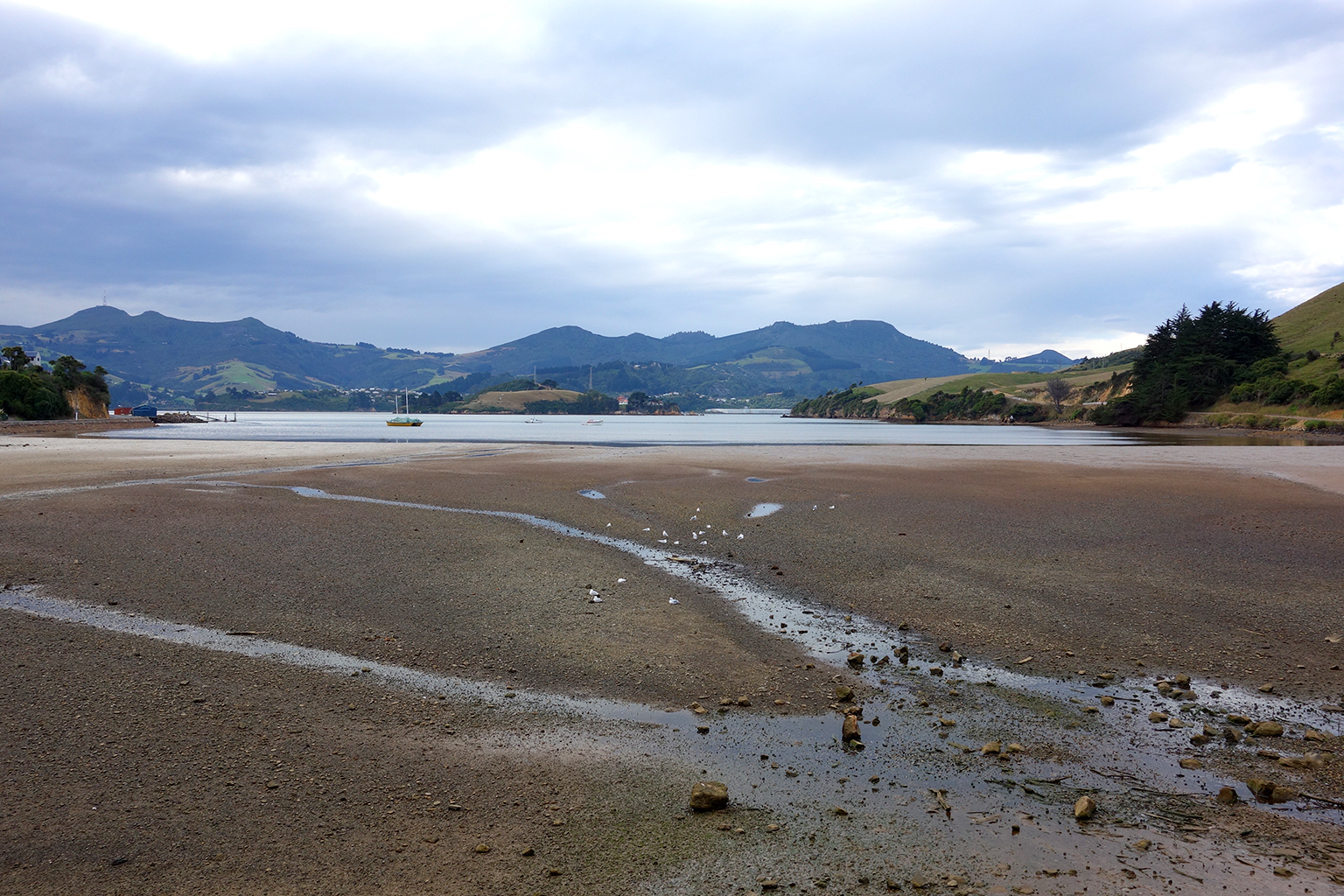 Portobello, New Zealand