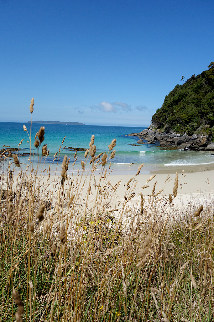 Beaches in Oban NZ