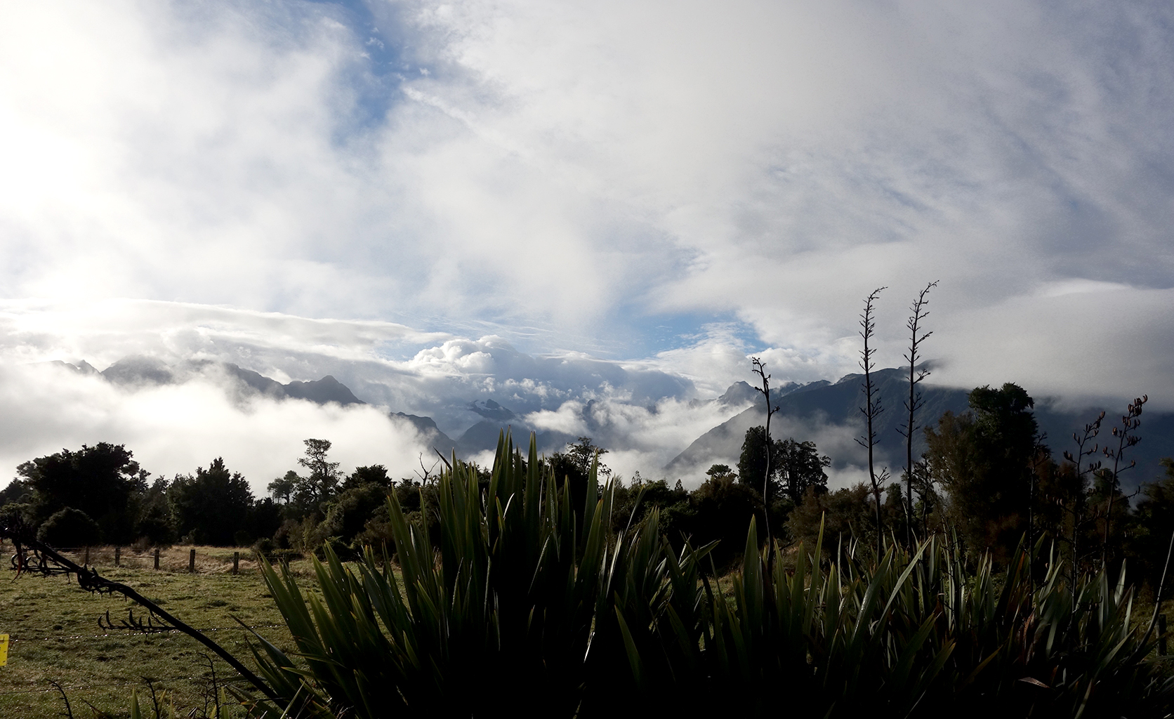 Stormy fox glacier, NZ