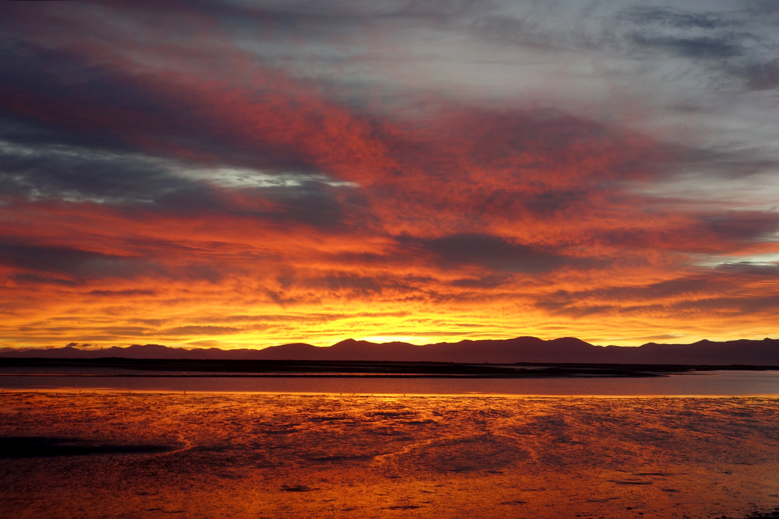 A Sleepy Week in Beach-Front Motueka, New Zealand