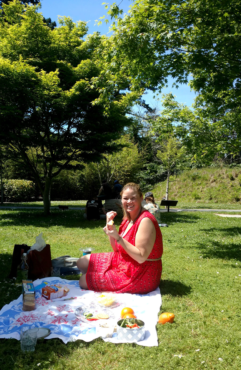 de Young picnic